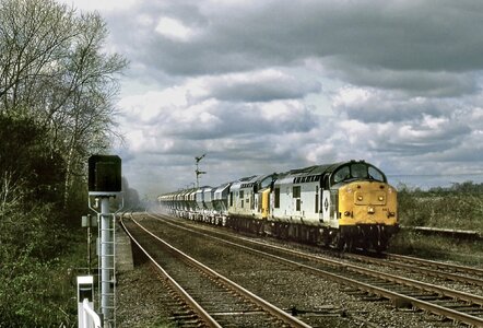 IMG_7260.jpeg IMG_7260.jpeg