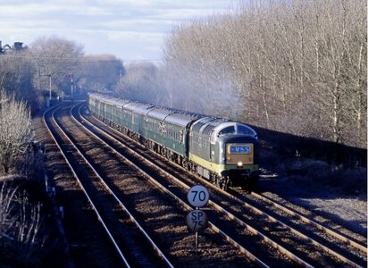 IMG_6258_Original.jpeg IMG_6258_Original.jpeg