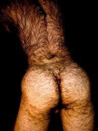seemybf-amateur-gay-real-submitted-hairy-men-bear-twink-homosexual-sex-big-pictures-seemybf-0057.jpg