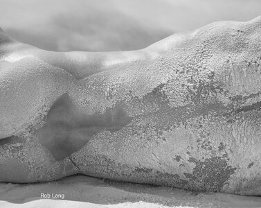 Kramer Dahl 48167972.jpg