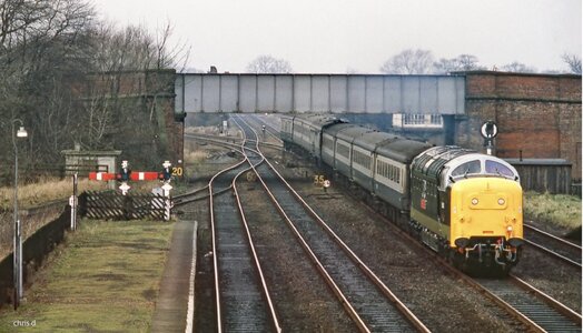 IMG_2131.jpeg IMG_2131.jpeg