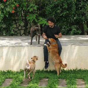 Sheykhar Ravjiani 107828255.jpg