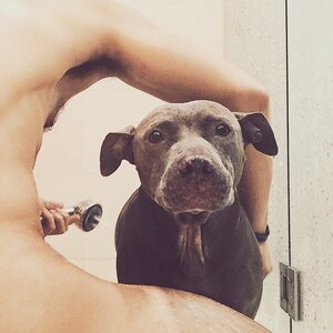 Joel Mejia Smith and Jade tumblr_nkxo1jZGQT1thdep6o1_1280.jpg