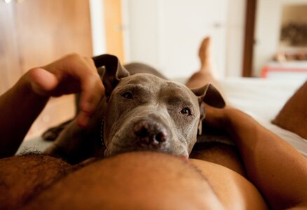 Joel Mejia Smith and Jade tumblr_nd2akeE7f51thdep6o1_1280.jpg