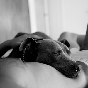 Joel Mejia Smith and Jade tumblr_nd2armndgQ1thdep6o1_1280.jpg