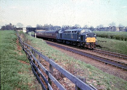 IMG_7340.jpeg IMG_7340.jpeg