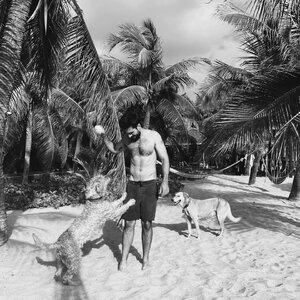 Marco Tostado 474900335.jpg