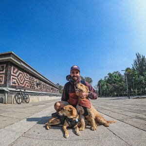 Marco Tostado 475284659.jpg