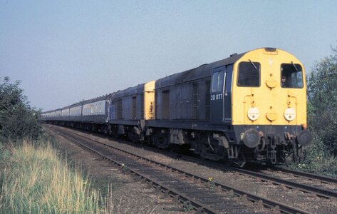 IMG_7354.jpeg IMG_7354.jpeg