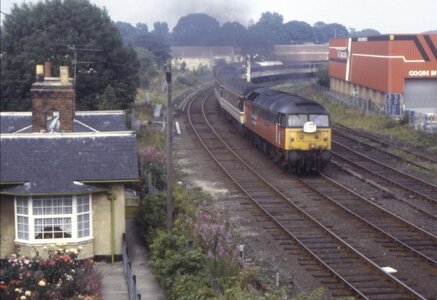 IMG_7384.jpeg IMG_7384.jpeg