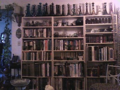 BookShelves Photo302.jpg