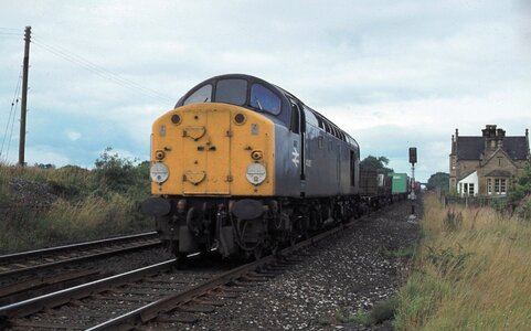 IMG_2206.jpeg IMG_2206.jpeg