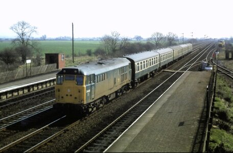 IMG_2242.jpeg IMG_2242.jpeg