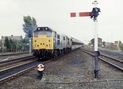 IMG_2300.jpeg IMG_2300.jpeg