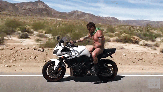 easy rider -2025-01440.gif
