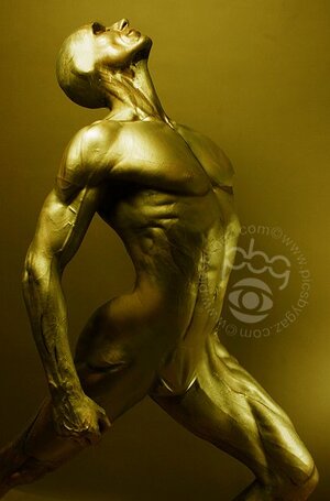 1. Alex Kovas photographed by PBG - picsbygaz.jpg