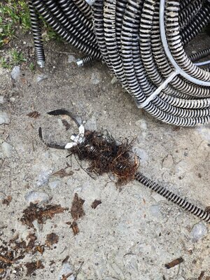 1000008380.jpg 1000008380.jpg