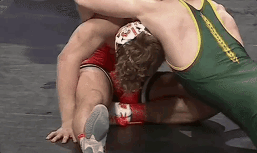 IMG_7267.gif
