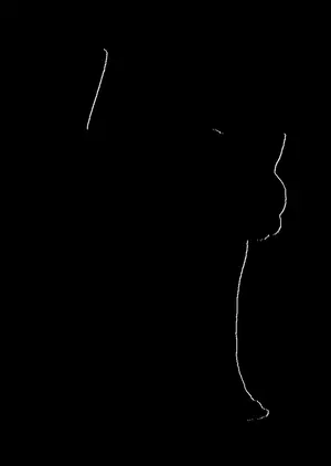 cat 9a25130d_1280.webp