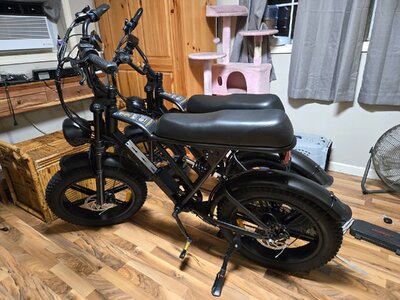 1000008516.jpg 1000008516.jpg