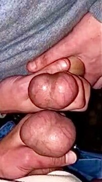 IMG_3586.jpeg IMG_3586.jpeg