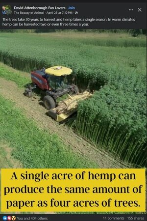 1749942315233.jpeg 1749942315233.jpeg