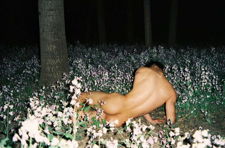 sa -2024-10-16-a-08-21.png