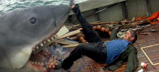 jaws fault.jpg jaws fault.jpg