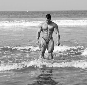 Vaillant (aad9ea83).jpg