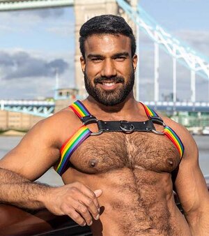 5. harness-1678542234630_600x.jpg