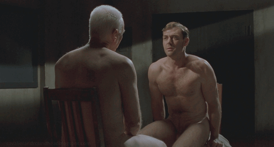Marton_Csokas_01b.gif