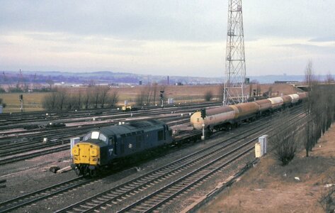 IMG_5166.jpeg IMG_5166.jpeg