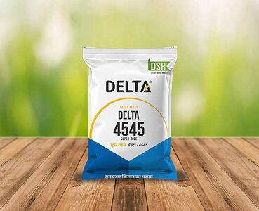Delta-4545.jpg