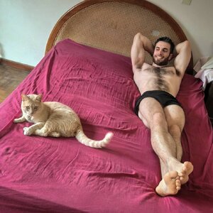 Osito Blanco 123196767.jpg