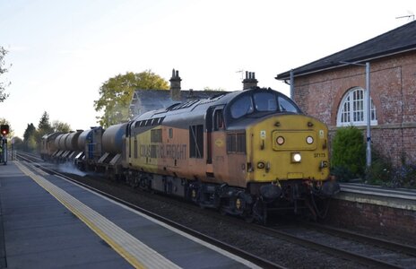 IMG_5192.jpeg IMG_5192.jpeg