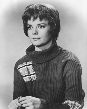 licensed-image (3).jpeg