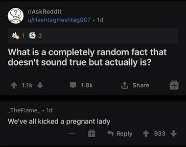 kicked a pregnant lady.png