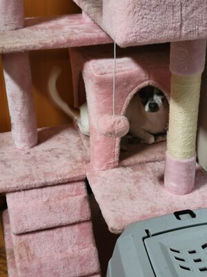 1000008827.jpg 1000008827.jpg