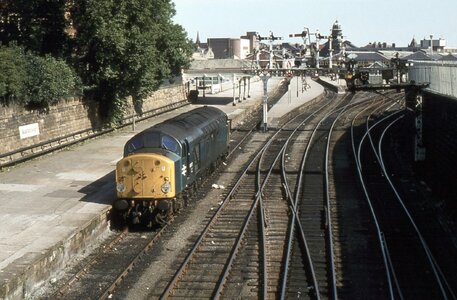 IMG_7607.jpeg IMG_7607.jpeg