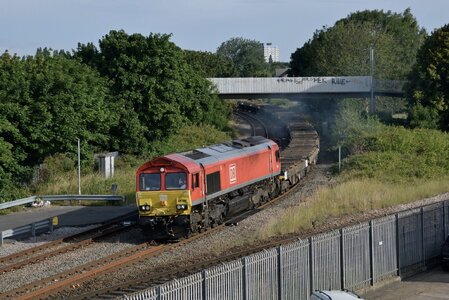 IMG_2623.jpeg IMG_2623.jpeg