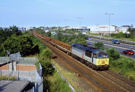 IMG_5202.jpeg IMG_5202.jpeg