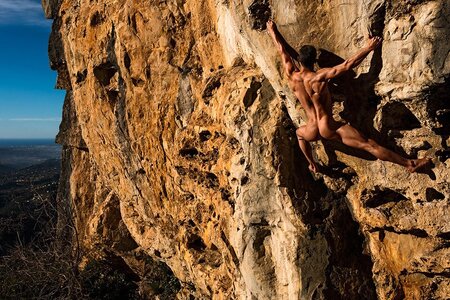 Torsal image.jpeg.586102b87ca9793010c0554f45126ef0.jpeg