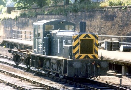 IMG_2335.jpeg IMG_2335.jpeg