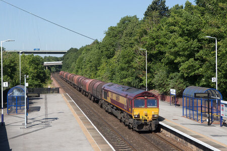 IMG_7631.jpeg IMG_7631.jpeg