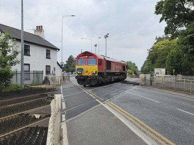 IMG_6572_Original.jpeg IMG_6572_Original.jpeg