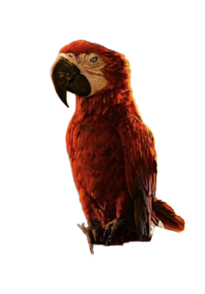 Iago2019render.png