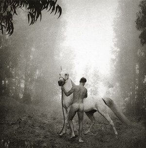 Arthur-Tress-Groom-with-Arabian 21stVol2_02.jpg