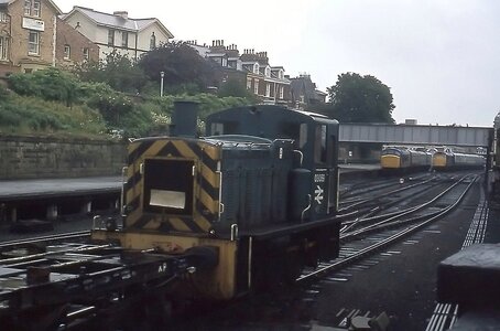 Snapseed.jpeg Snapseed.jpeg