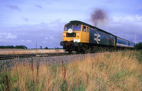 IMG_5288.jpeg IMG_5288.jpeg