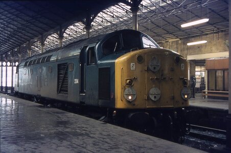 IMG_2349.jpeg IMG_2349.jpeg